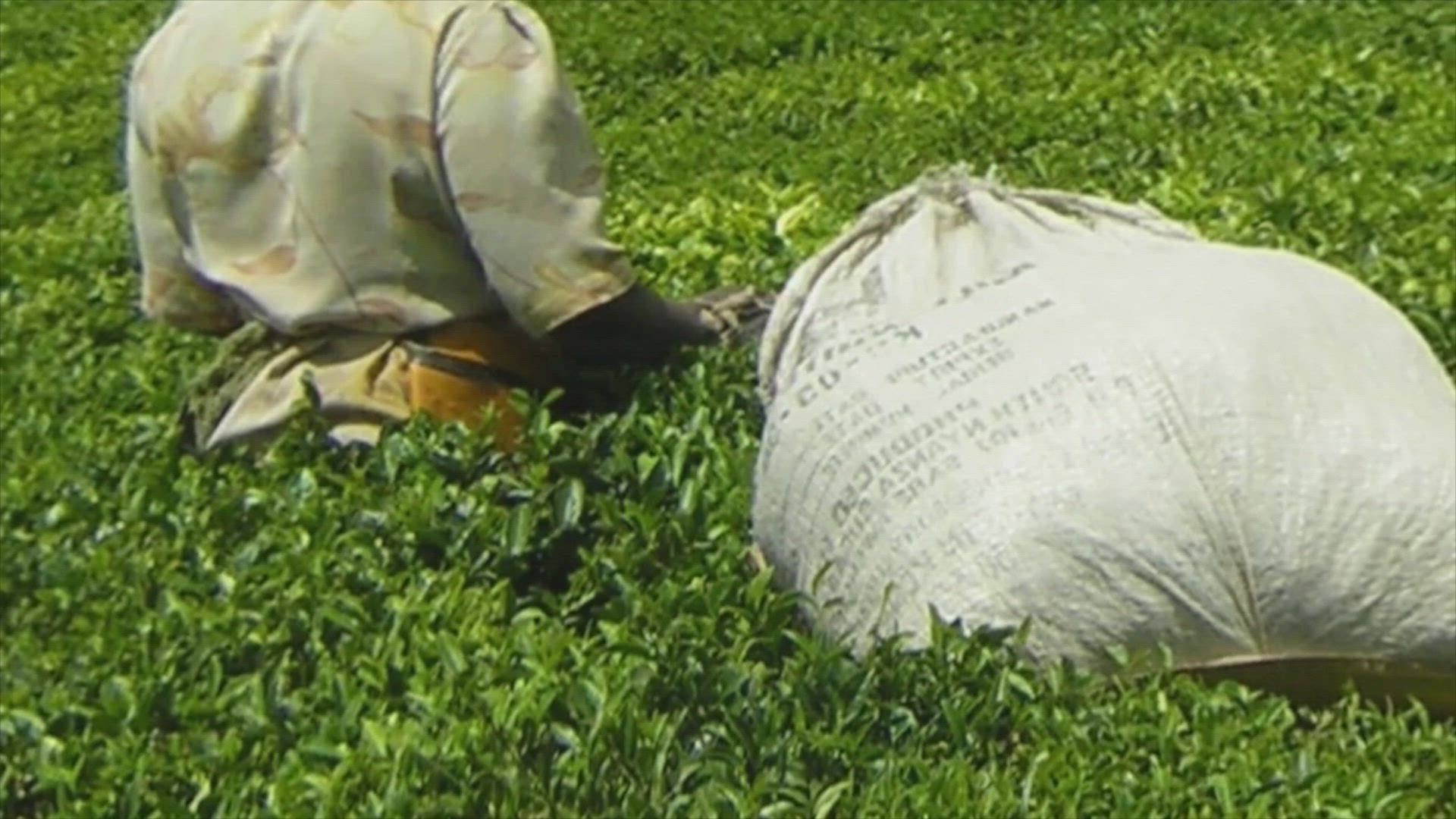 Embassy